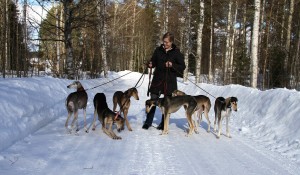 minä ja salukitIMG_3469