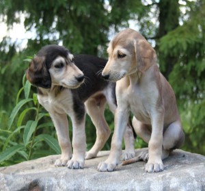 Myynti_Pojat200616_1719