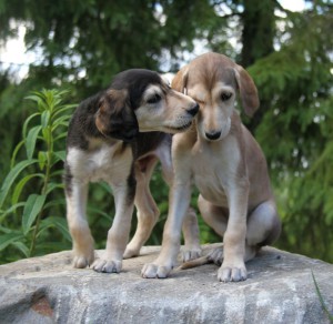 myyntiPojat2006_1720