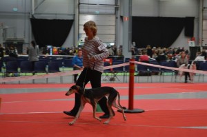 NettanspecifiedVKU3W8FK