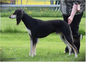 Rudan Hakeem 4 years old