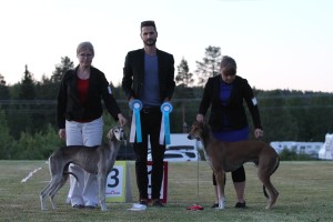 Vännäs_islaBOSSmooth35403540_1122847214522178_8904458139462533120_o