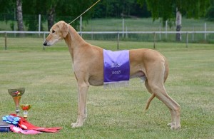 erkkarin menestys_Ramey-erkkarissa