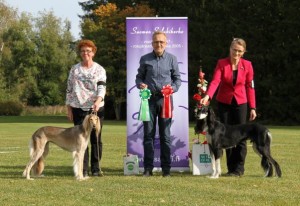 Tyyne - Rudan Nediva