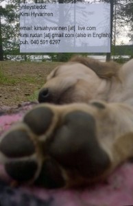 pennun_tassuWP_yhteystiedoin