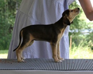 miniNettaIMG_6906 (3)