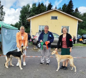 Rudan Odeya Onit BB-1, BOB, Junior BOB at Maalahti Group Show. August 6, 2022. Judge: Luoso Matti, Finland