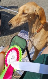 297934630_10Oodi_ JMVA