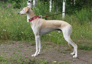 Olympos_rada_sivulta_IMG_8575