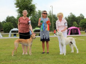 Rudan Odeya Onit BOS and BOB-junior at Tuusniemi Group Show, July 2, 2022. Judge. Rekiranta Paula, Finland.